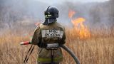 МЧС: В 22 регионах России введен особый противопожарный режим