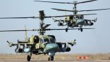 От винта: поставки Российской армии вертолетов Ка-52 увеличились вдвое, Ми-28 — втрое