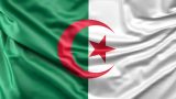 Алжирский парламентарий призывает пожертвовать деньги на ракеты для палестинцев
