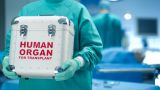 На Западе стали «замечать» черную трансплантологию на Украине — Daily Mail