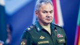 Шойгу: Российские военные выполнили главную задачу 2023 года