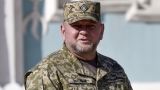 Лебединая песня украинского главкома: Залужный высказался за «непопулярные меры»