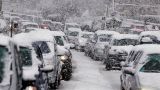 Москву на сутки накроет сильный снегопад с метелями