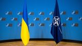 Условия не созрели: Киев не пригласят в НАТО на летнем саммите в Вашингтоне — Джоанэ