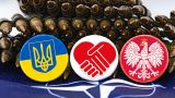 Шумел Косиняк-Камыш: Польша готовится к нападению России после ее победы над Украиной