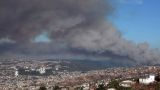 В Чили растет количество жертв лесных пожаров