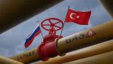 Всё ради газового хаба: Турция изменит законодательство