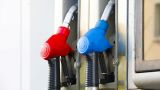 Антимонопольная служба нашла сговоры по бензину в пяти регионах
