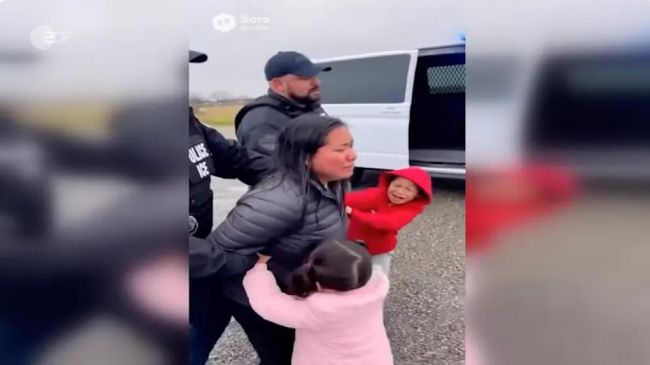 Искусственный интеллект стал причиной увольнения журналиста немецкого телеканала Искусственный интеллект стал причиной увольнения журналиста немецкого телеканала