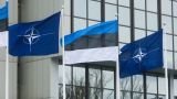 В Эстонии опять состоялись курсы по подготовке «политруков НАТО»