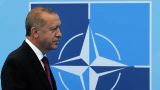 НАТО и Евросоюз поздравили Эрдогана с победой на выборах