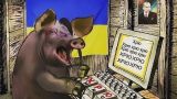 «Не зъим, так понадкусываю»: на фоне провалов на фронте Киев повысил степень вранья