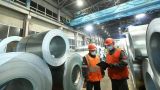 Никакой снисходительности к Украине: поставщики стали схватились за квоты ЕС