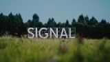 Перенесли в Москву: организаторы не стали отменять крупный фестиваль Signal