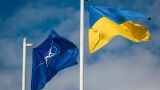 Германия направит 11,5 млн евро в фонд Совета Украина-НАТО
