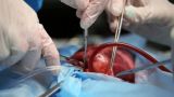 Canada turns euthanasia into organ trafficking — Life Site
