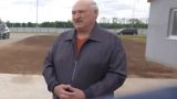 Лукашенко призвал остановить падеж скота, чтобы избежать голода в Белоруссии