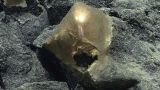 A mysterious golden ball has been found deep at the bottom of the ocean off the coast of Alaska