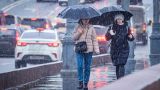 Гидрометцентр: 12 февраля в Москве -2 градуса, мокрый снег