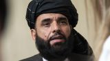 Без компромиссов: талибы прекратят огонь только после вывода войск