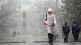 Hydrometeorological Center: Cold snap, rain and snow will come to Central Russia