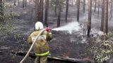 В 51 регионе России введен особый противопожарный режим