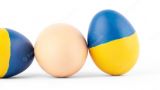 «Большая любовь» — Польша добивается запрета импорта с Украины яиц, фруктов и мёда