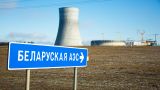 Вильнюс направил в Минск ноту по поводу инидента на строительстве БелАЭС