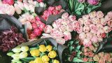 На цветы из Армении в России могут наложить запрет с 27 июня