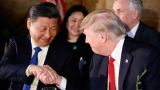 Си Цзиньпин пообещал Дональду Трампу «уговорить КНДР» за 100 дней