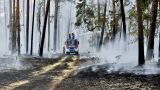 Из-за жары в Германии начали рваться снаряды, оставшиеся со Второй мировой
