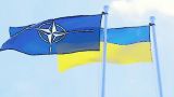 Киссинджер выступил за принятие Украины в НАТО «ради безопасности Европы»