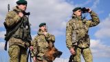 Погранслужба выявила сотни украинских боевиков, пытавшихся попасть в Россию