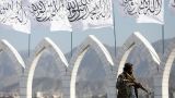 «Талибан»: Никаких уступок в вопросе соблюдения норм шариата не будет