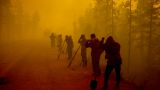 В России за сутки потушено 162 тысячи гектаров горящих лесов