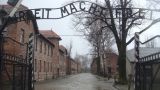 В Польше суд смягчил приговор раздевшимся догола у ворот Освенцима