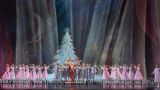 Не попали в Большой: москвичи рванули на балет «Щелкунчик» в Новосибирске