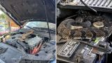 «Переехала» в Кишинев: под капотом машины из США нашли змею