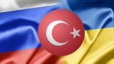 Почему Турция нервничает из-за воссоединения Новороссии с Россией?