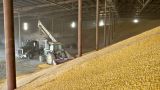 Из федерального интервенционного фонда украли 19 тысяч тонн зерна