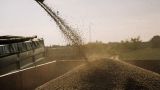 Украинский тупик: Россия будет диктовать цены на рынке зерна
