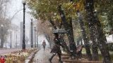 Гидрометцентр предупредил москвичей о снеге с дождем