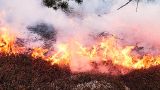 На всей территории ХМАО из-за лесных пожаров введен режим чрезвычайной ситуации