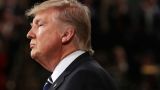 КНДР «по-настоящему пожалеет» в случае атаки на США: Трамп