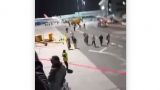 Аэропорт Махачкалы освобожден от захватчиков