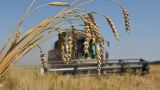 Зерновой демпфер для регионов будет стоить свыше 10 млрд рублей