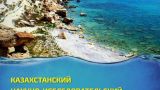 В Казахстане создадут научно-исследовательский институт Каспийского моря