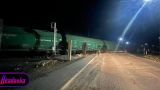 В Борисполе под Киевом грузовой поезд сошел с рельсов