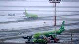 Ледяной дождь привёл к транспортному коллапсу в московских аэропортах