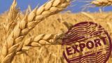 Поможем США и Украине: к чему приведут новые экспортные пошлины на зерно